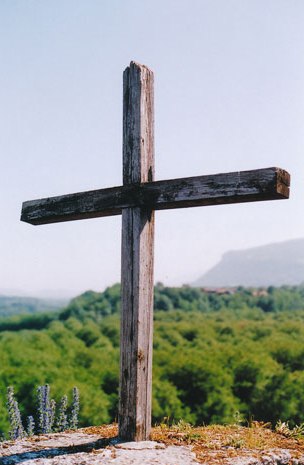 Walnut groves, from the Calvary at Saint-Romans.
